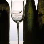 Spider in Glass