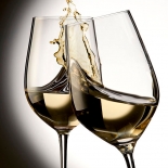 Anstossende Gläser mit Weisswein